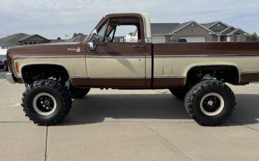 Chevrolet-C10K10-1977-4