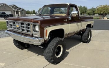 Chevrolet-C10K10-1977-5