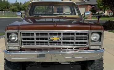 Chevrolet-C10K10-1977-6