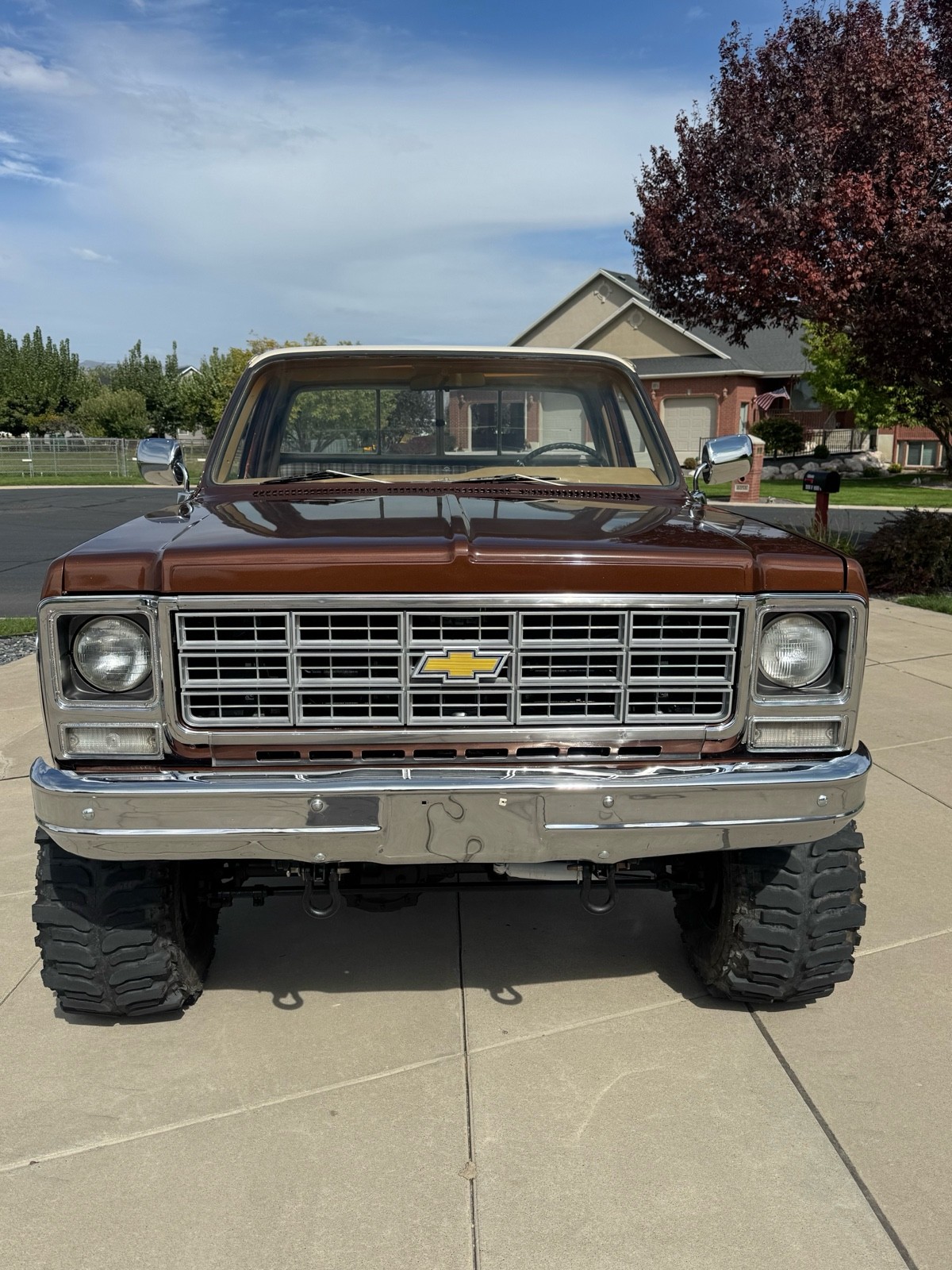 Chevrolet-C10K10-1977-6