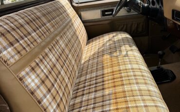 Chevrolet-C10K10-1977-7