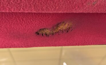 Chevrolet-C1500-1992-Medium-Blue-Metallic-Burgundy-17