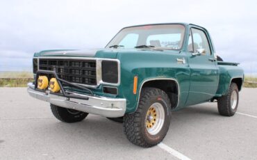Chevrolet-CK-10-Series-1978-Pickup-Truck-1