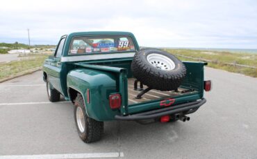 Chevrolet-CK-10-Series-1978-Pickup-Truck-12
