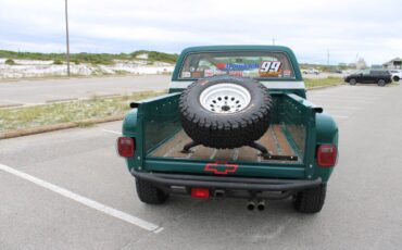 Chevrolet-CK-10-Series-1978-Pickup-Truck-15