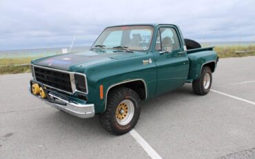 Chevrolet-CK-10-Series-1978-Pickup-Truck-2