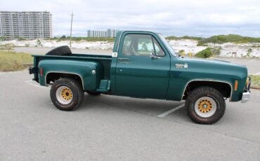 Chevrolet-CK-10-Series-1978-Pickup-Truck-22
