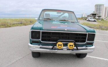 Chevrolet-CK-10-Series-1978-Pickup-Truck-29