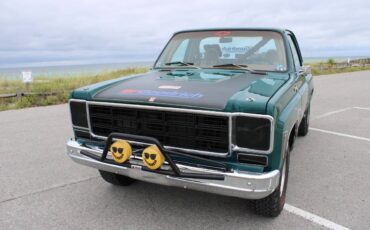 Chevrolet-CK-10-Series-1978-Pickup-Truck-32