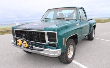Chevrolet-CK-10-Series-1978-Pickup-Truck-33
