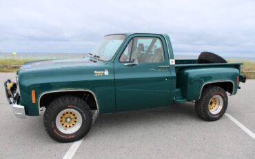 Chevrolet-CK-10-Series-1978-Pickup-Truck-4