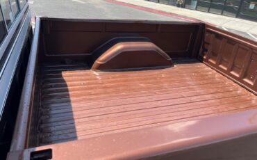 Chevrolet-CK-Pickup-1500-1979-Standard-Cab-Pickup-1