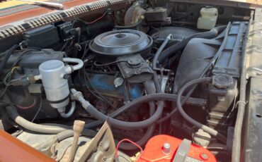 Chevrolet-CK-Pickup-1500-1979-Standard-Cab-Pickup-10