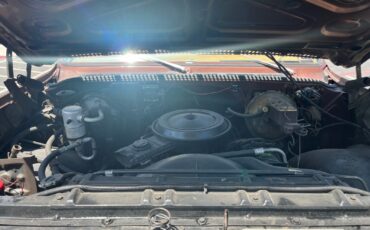 Chevrolet-CK-Pickup-1500-1979-Standard-Cab-Pickup-11