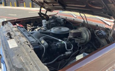 Chevrolet-CK-Pickup-1500-1979-Standard-Cab-Pickup-12