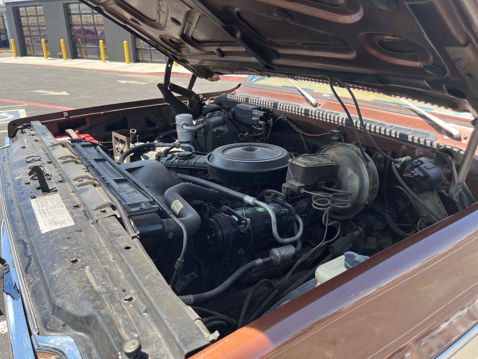 Chevrolet-CK-Pickup-1500-1979-Standard-Cab-Pickup-12