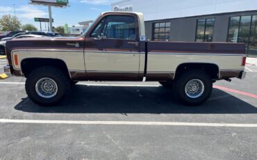 Chevrolet-CK-Pickup-1500-1979-Standard-Cab-Pickup-2