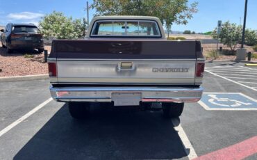 Chevrolet-CK-Pickup-1500-1979-Standard-Cab-Pickup-25