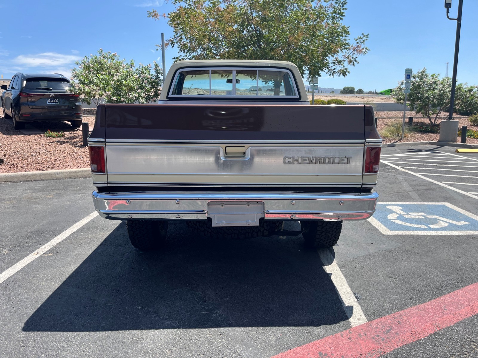Chevrolet-CK-Pickup-1500-1979-Standard-Cab-Pickup-25