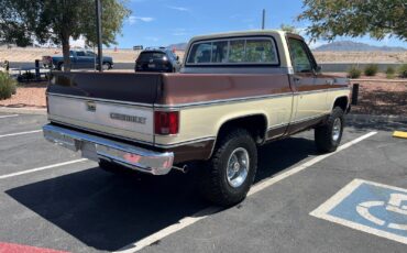 Chevrolet-CK-Pickup-1500-1979-Standard-Cab-Pickup-26