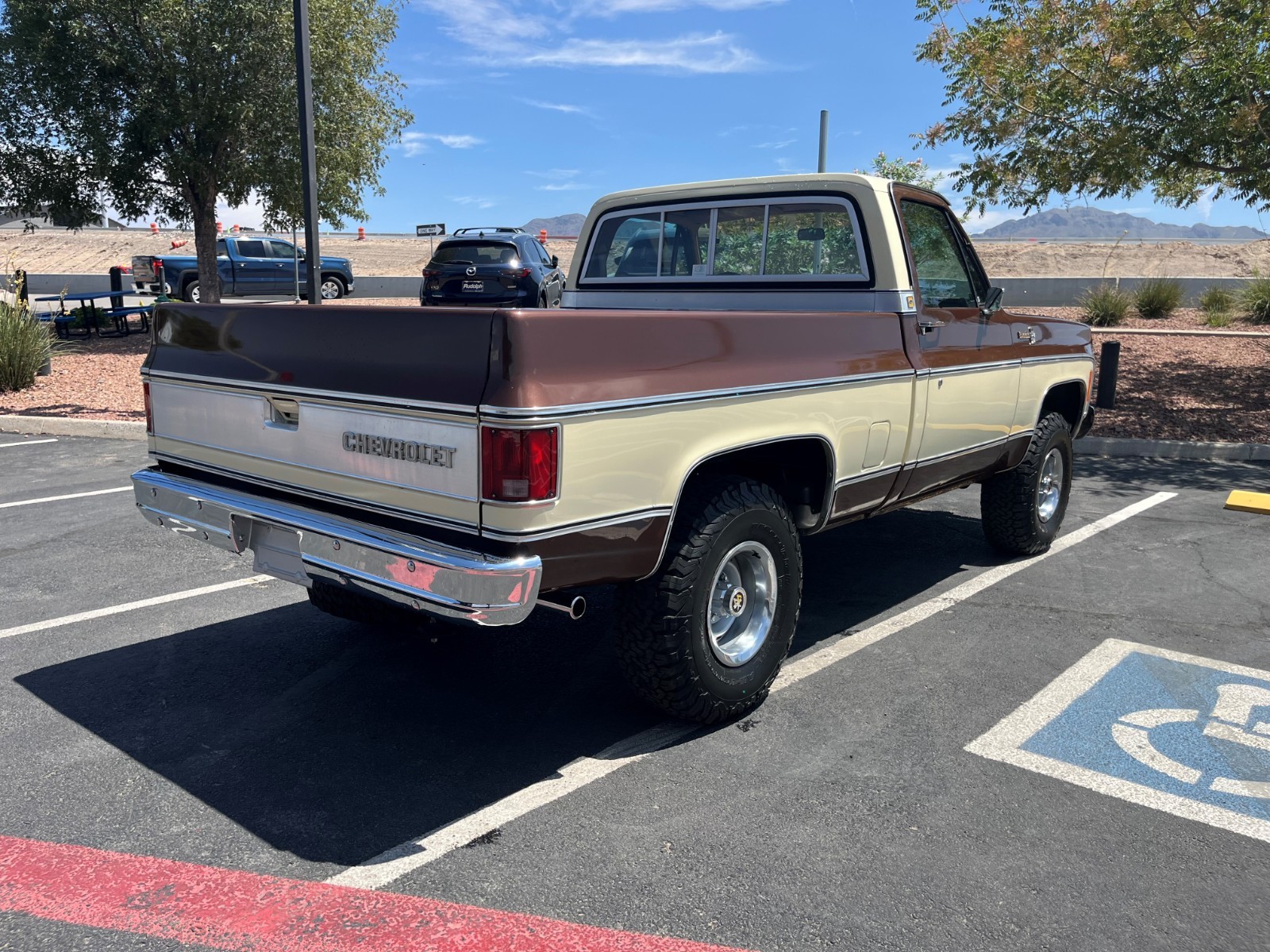 Chevrolet-CK-Pickup-1500-1979-Standard-Cab-Pickup-26