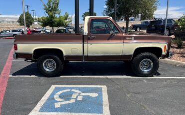 Chevrolet-CK-Pickup-1500-1979-Standard-Cab-Pickup-27