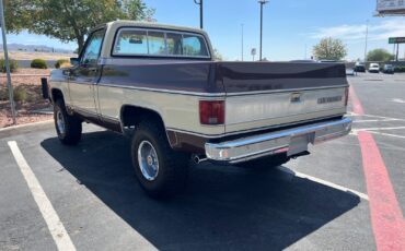 Chevrolet-CK-Pickup-1500-1979-Standard-Cab-Pickup-3