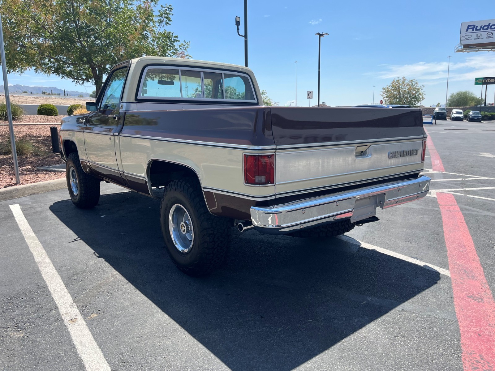 Chevrolet-CK-Pickup-1500-1979-Standard-Cab-Pickup-3