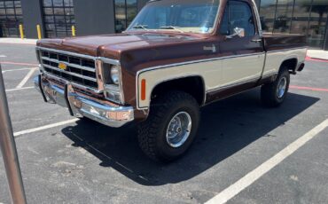 Chevrolet-CK-Pickup-1500-1979-Standard-Cab-Pickup