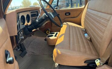 Chevrolet-CK-Pickup-1500-1979-Standard-Cab-Pickup-4