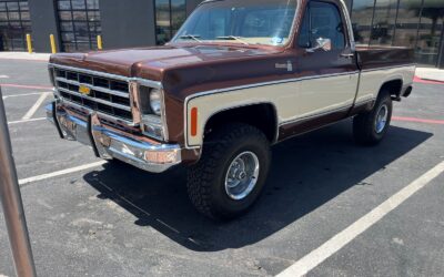 Chevrolet C/K Pickup 1500 1979 Standard Cab Pickup