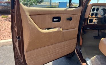 Chevrolet-CK-Pickup-1500-1979-Standard-Cab-Pickup-5