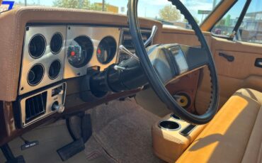 Chevrolet-CK-Pickup-1500-1979-Standard-Cab-Pickup-6