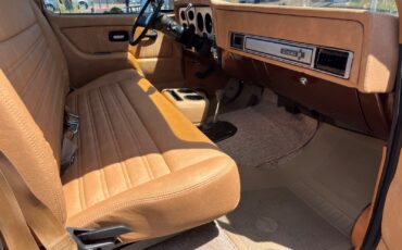 Chevrolet-CK-Pickup-1500-1979-Standard-Cab-Pickup-7
