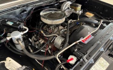 Chevrolet-CK-Pickup-1500-1984-12