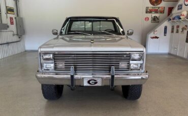 Chevrolet-CK-Pickup-1500-1984-2