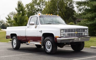 Chevrolet-CK-Pickup-1500-1984-20