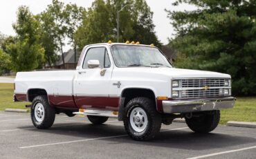 Chevrolet-CK-Pickup-1500-1984-21