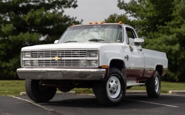 Chevrolet-CK-Pickup-1500-1984-30