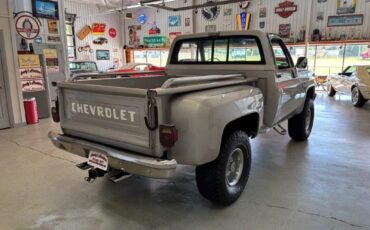 Chevrolet-CK-Pickup-1500-1984-4
