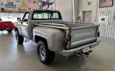 Chevrolet-CK-Pickup-1500-1984-6