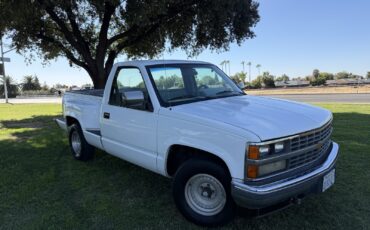 Chevrolet-CK-Pickup-1500-1989-2