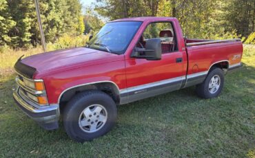 Chevrolet-CK-Pickup-1500-1994-1