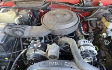 Chevrolet-CK-Pickup-1500-1994-7