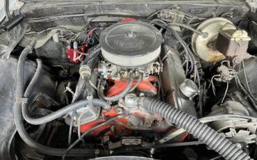 Chevrolet-Camaro-1967-Ermine-White-Bright-Blue-5