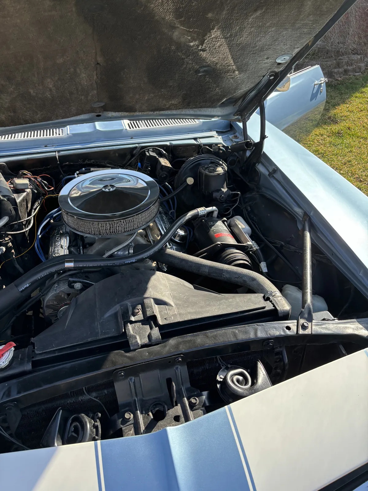 Chevrolet-Camaro-1969-Blue-Blue-13
