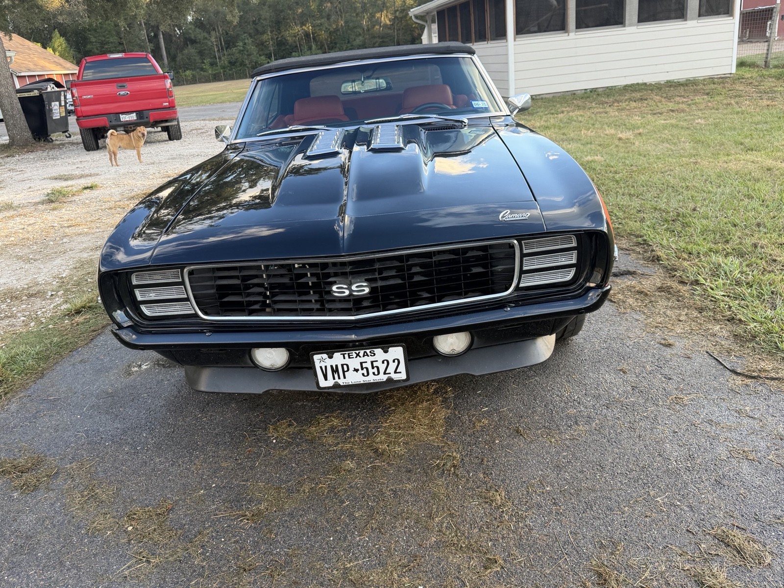 Chevrolet-Camaro-1969-Convertible-5