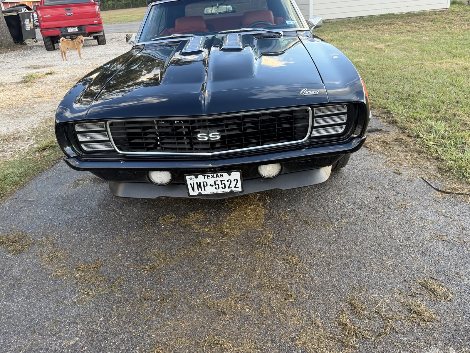Chevrolet-Camaro-1969-Convertible-6