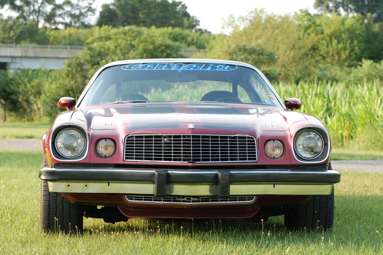 Chevrolet-Camaro-1975-Coupe-2