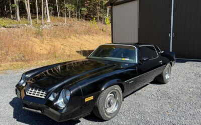 Chevrolet Camaro 1979 Coupe